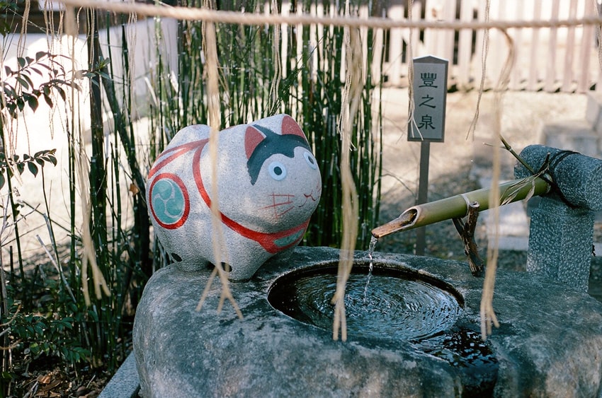 立川水天宮 豊之泉 可愛い犬張子の石像